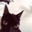 CatShake animated GIF emoji from Besties Community