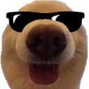 dognau7 Discord Emoji - 𝘙𝘌𝘈𝘓𝘐𝘛𝘠 𝘈𝘞𝘈𝘐𝘛𝘚... but after 24.7