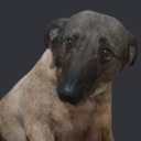 Elisefa Discord Emoji - Gladio