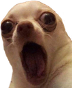 oooo Discord sticker - #- thunder server