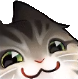 A tabby cat with green eyes wearing a smug, mischievous smirk.