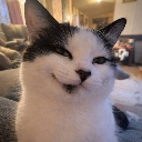 emoji_39 Discord Emoji - Ngôi nhà chút chít ᥫᩣ