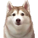 WeirdHusky custom emote - Homestuck Community