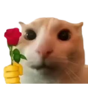 flower custom emote | Shadow Arms Co.