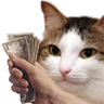 1263kiisucash custom emote from (っ◔◡◔)っ ♥ Infinity Hub ♥™