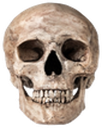 skullreal Discord Emoji from Vine(yl)💽