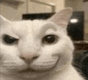 Catsmirk Discord sticker - n3rds :)