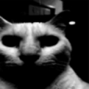 emoji_1771599145709 custom emote - Nashe™ | Social . PFPs . Giveaways . Chill