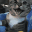 emoji_7 animated emote - ma&mo 4ever