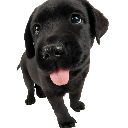 mlep custom emote | 𝐓𝐡𝐞 𝐂𝐫𝐞𝐚𝐭𝐮𝐫𝐞 𝐏𝐥𝐚𝐲𝐩𝐞𝐧