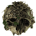 theforest custom emote | ✨КиберЛапки🎮