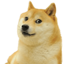 GMS_Doge custom emote | Galactic Moth Studios