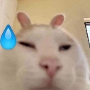 catkhonoi Discord Emoji from Reality Awaits