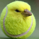 birb Discord Emoji - ❮❰ Estação HKM-HL • A.G.E