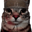 soldjacat Discord Emoji - Fruitful Friendship Forum