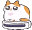 catroombaexceptionallyfast animated emote from Grove