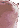 14021vibingkitty animated GIF emoji | FNL
