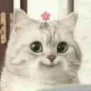 innocentkitty Discord Emoji | Cyberpunk Syndicate ☁୨ৎ
