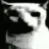 Screenshot20260413210328 Discord Emoji | Vandox_YT