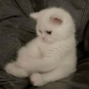 emoji_36 custom emote - NV