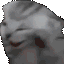 A gray cat with its eyes closed and mouth wide open in a frantic screaming expression.