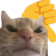 sclThumbsDownCat custom emote from ୨ Caféx ୧／Social  ﹒ International ﹒Nitro﹒pfps﹒Fun (Masti)