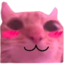 flushedcat Discord Emoji - Cricketive