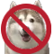 NoHusky Discord sticker | Homestuck Community
