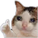 FR_cryingbutalr custom emote from Friends 18+ Sfw | Adults-only • active-chat • Mature • Friendly • Gaming • Lgbtq+ • Hangout