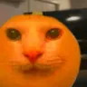 cannyorange Discord Emoji - Nova Luna (新月)