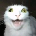emoji_96 custom emote | 𝘿3𝙎 𝙈𝘾