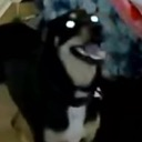 scarymina Discord Emoji from The MOON haunts me