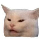 White cat looking confused and offended with a squinted expression.