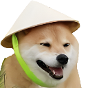 doge custom emote - Fire Zone