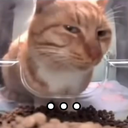 Cat_SideEye Discord Emoji - Heart.exe