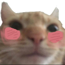 SwagBlush Discord Emoji - ATGs (All The Gamers)