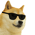 cool_doge animated emote from ・ 𝐌𝐨𝐨𝐧𝐋𝐢𝐠𝐡𝐭 𝐂𝐡𝐚𝐭 ☄