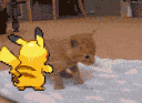 bullypikachu animated Discord emote - yoniland ₓ˚ 🍃 ୭