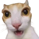 emoji_24 Discord Emoji | 𝐓𝐁𝐬