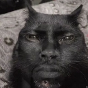 A human face with a serious expression merged onto the head of a black cat.