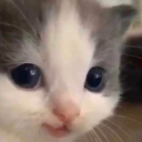 swtkitty custom emote | Just Cum (CLOSING SOON)