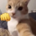 __ custom emote | *Hs7* United Animals Den
