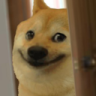 nxt_dogebaaz custom emote from Lovers Cafe™ | Indian Discord Server • Nitro • Voice Chat • Active • India • Hangout • Gaming • SFW
