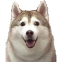 FatHusky Discord Emoji | Homestuck Community