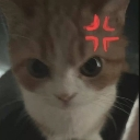 emoji_49 custom emote from —Cats galaxy🌠🐱—
