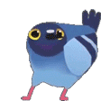 DancingPidgeon animated emote from WeChat!