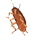 g_roachdance animated Discord emote | 🎤 Riff-Off | Singing, Games, Daily Events, Community