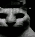 darkcat2 custom emote - 𝘙𝘌𝘈𝘓𝘐𝘛𝘠 𝘈𝘞𝘈𝘐𝘛𝘚... but after 24.7