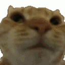 emoji_98 animated Discord emote - Dex’s Amunity