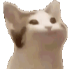 kooricat custom emote from Nova Luna (新月)